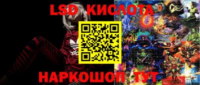 spice Баксан