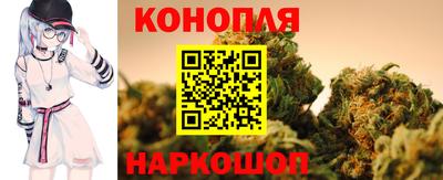 прущие крисы Аша