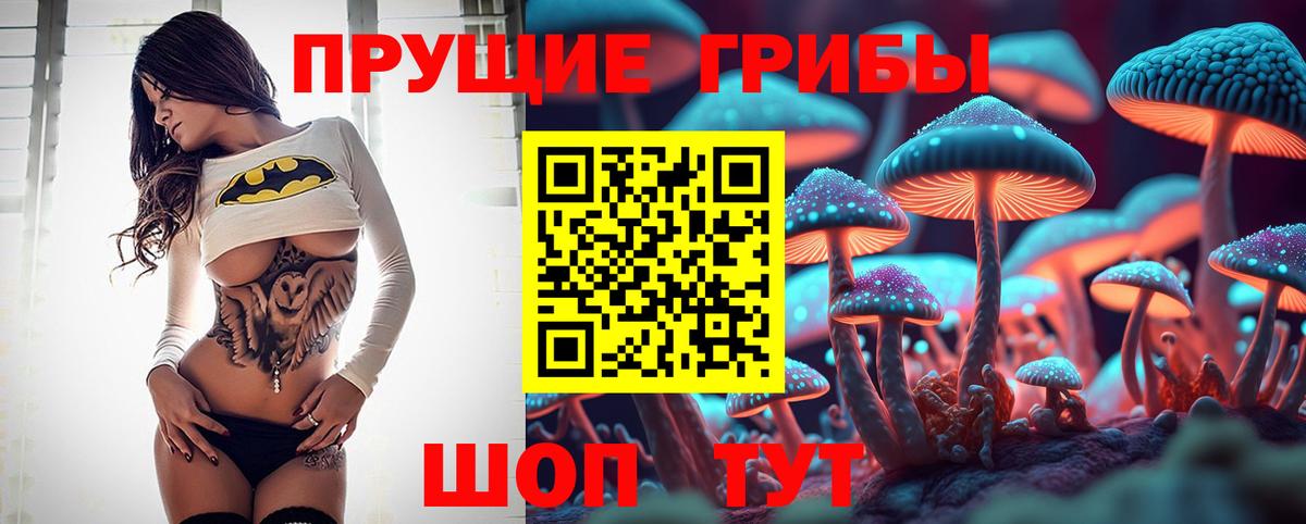 Псилоцибиновые грибы Psilocybine cubensis  Вход с VPN  Гусиноозёрск 